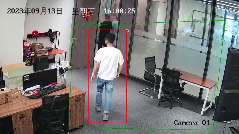 别墅安防，安全与美观并重：系统推荐解析**